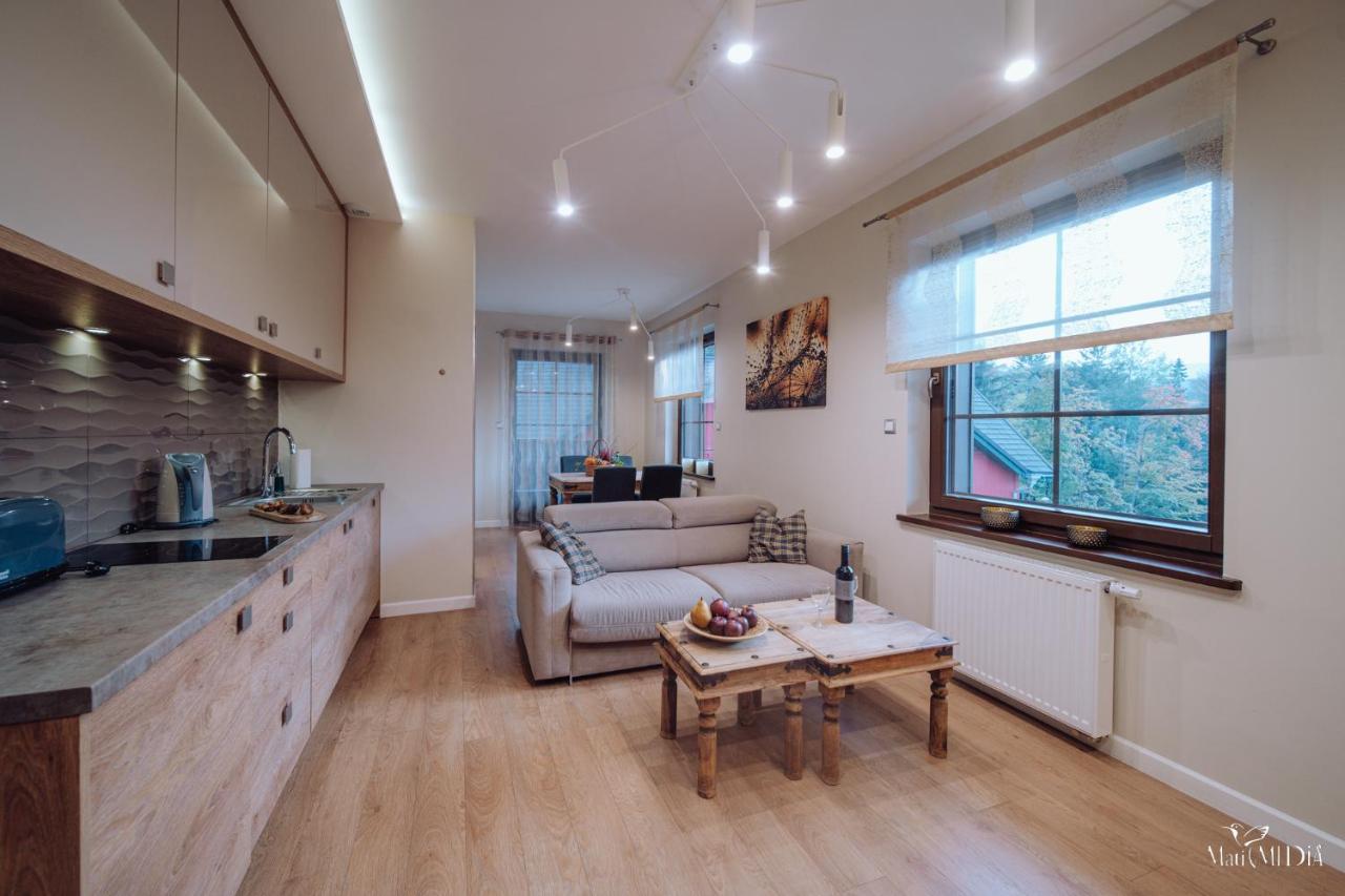 Dolina Wikingow Apartament Oye 13 Szklarska Poreba Bagian luar foto